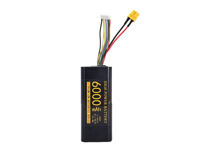 BFN 60A 6S2P 22.2V 6000mAh Drone Battery